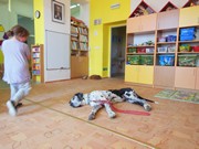 Bezpečný pes - kynologie